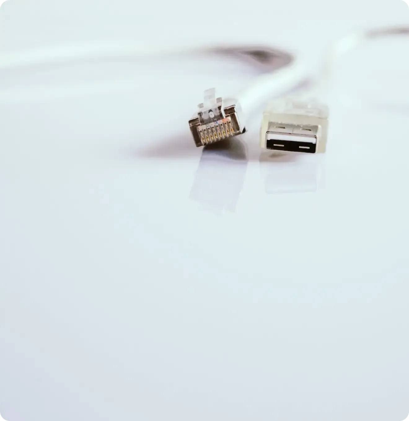 cavo ethernet su sfondo bianco